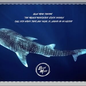 Whale Shark Blue Mind Theory Wall Art